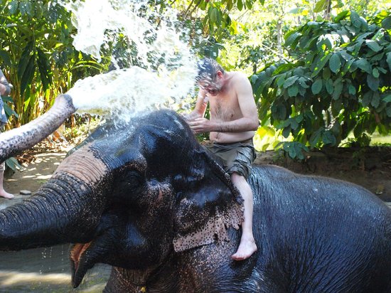 Elephant Junction Thekkady